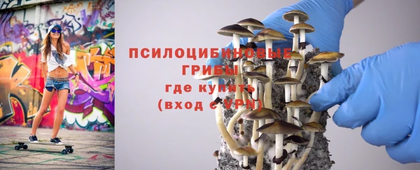 винт Нея