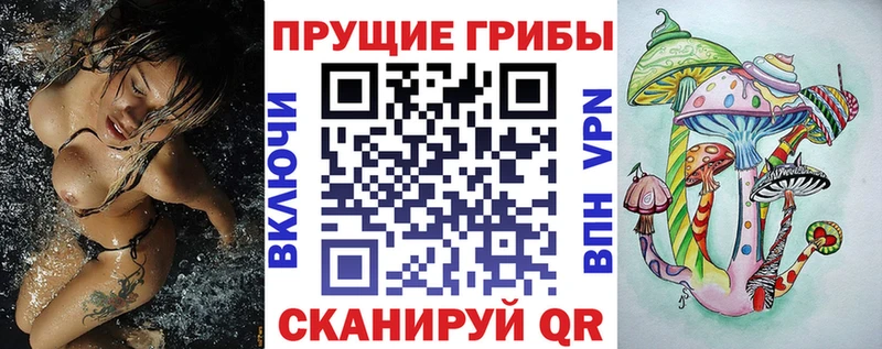 Псилоцибиновые грибы Psilocybine cubensis  Заринск 