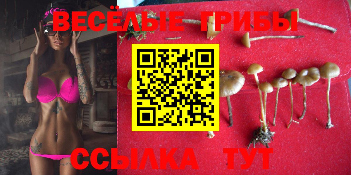 Галлюциногенные грибы GOLDEN TEACHER  Заринск 