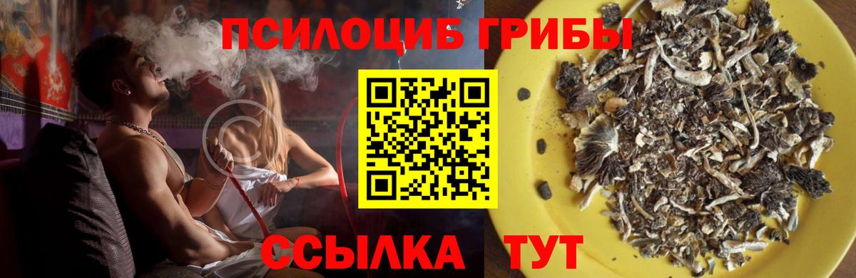 Заринск  Галлюциногенные грибы мухоморы  Вход с VPN 